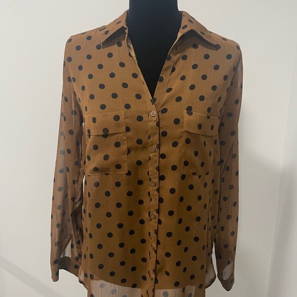 Pleione Brown and Black Polka Dot Blouse - Picture 7 of 10